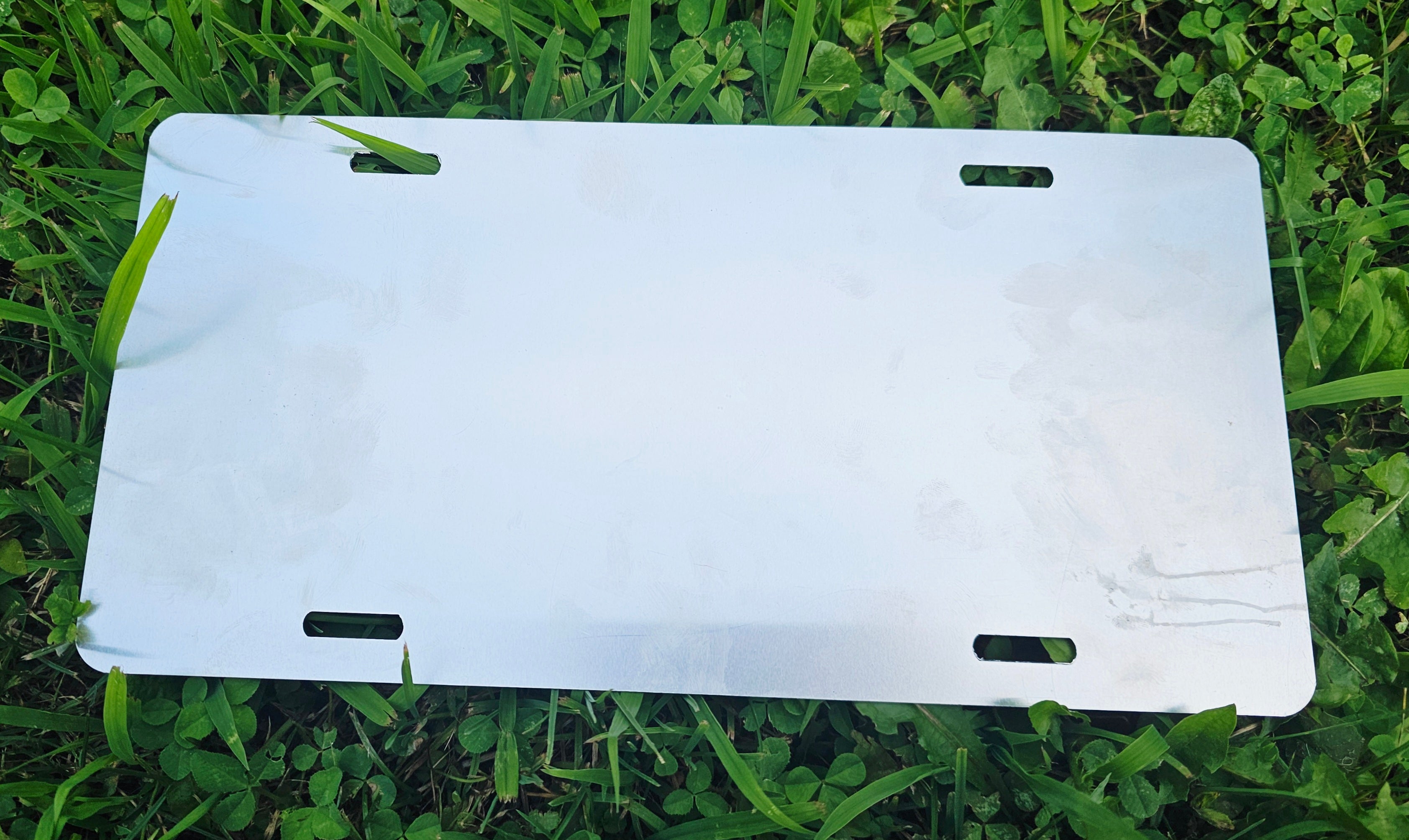 Back of license plate on grass